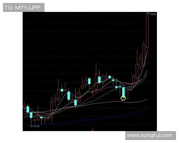 深入分析上海排球队中路突破战术的独特魅力与实战应用
